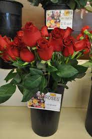 Thejobcrawler.com has been visited by 10k+ users in the past month Peoples Flower Shops Far North Location 9625 Montgomery Blvd Ne Albuquerque Nm 87111 Yp Com