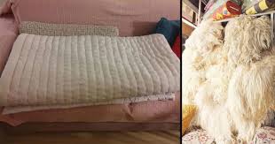 Yun Ne Buyuk Nimetmis Meger Saglikli Yasam Tarzi Yatak Yatak Ortusu