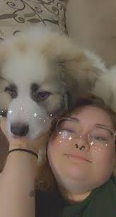 Small dogs, big vibes! 🐶 The Granville Park off-leash area for small & shy  dogs is officially open & ready for wagging tails! Bring the littles for  zoomies & quieter play dates!