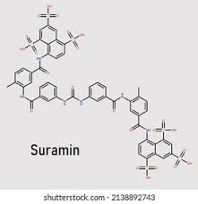 Image result for Suramin