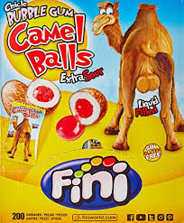 Trapped under the camel's body, the. Woman Bites Camel Catsillustrated Com