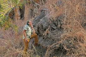 Image result for Xerophyta kirkii