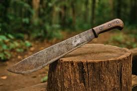 Bilderesultat for Machete