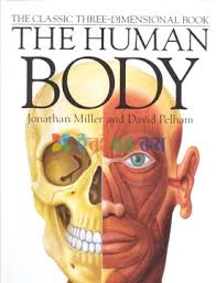 Explore the mysteries and the workings of the human body through this fascinating collection of ideas, projects, and activities. The Human Body à¦¦ à¦¯ à¦¹ à¦‰à¦® à¦¯ à¦¨ à¦¬à¦¡ Jonathan Miller David Pelham Buy Book Online à¦…à¦¨à¦² à¦‡à¦¨ à¦¬à¦‡ à¦• à¦¨ à¦¨ Eboighar Com