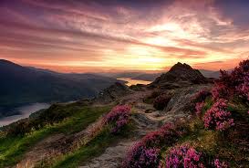 Es war sehr schwierig, diese auswahl auf nur 40 bilder aus schottland zu reduzieren. Scotland Scenery Wallpaper Picserio Com