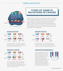 Related Image National Cancer Institute Genetics Genetic Testing