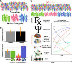 Autism is defined by a certain set of behaviors and is a spectrum condition that affects people differently and to varying degrees. Big Data Approaches To Decomposing Heterogeneity Across The Autism Spectrum Molecular Psychiatry