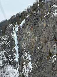 Profile for Joey Daigle