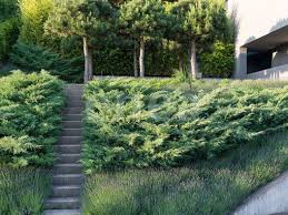 Alle Projekte Privat Offentlich Firmen Grossprojekte Schweiz Usa International Modern Garden Garden Design Plants