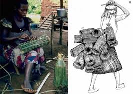 Image result for Clappertonia polyandra