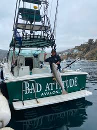 Browse wall murals online or contact us to get started today. Fishing Catalina Island