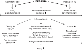Piezo motors / emailsales crane machinery suppliers*co ltd @cn mail admin ahmed farahat is eecs engineer with 18 years of experience in the field he worked on different technological discipline and and had honored post graduate diploma in. Fatty Acids Facts Vs Fiction International Journal For Vitamin And Nutrition Research