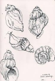 111 Fun And Cool Things To Draw Right Now Natural Form Art Art Sketches