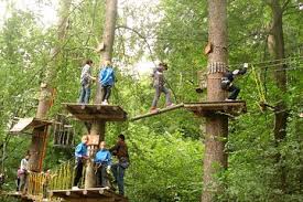 Parc adventura in brasov offers a full day's worth of adventuring on the forest tracks that are graded according to age and difficulty. Aventures Au Parc Aventura Brasov 2021 Garantie Du Prix Le Plus Bas