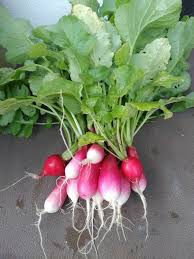 A fun way to use kitchen scraps. In The Garden Spring Into Your Square Foot Garden Nonahood News