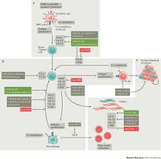 Image result for Polymyalgia Rheumatica