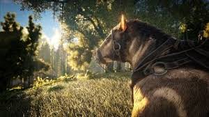 To use a dynamic map you have to switch to dynamically generated map (experimental) under mapname near the top of the page this also changes the starting parameter of the map to '' pgark '', this is necessary for the correct loading of the procedural map. Procedurally Generated Maps Official Ark Survival Evolved Wiki