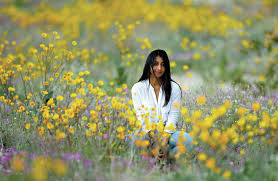By this time in april, we are usually past our peak wildflower bloom and enjoying cacti and agave flowers. Tens Of Thousands Converge On California Poppy Apocalypse Hawaii Tribune Herald