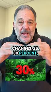 Do Not Do This With A Neon Tetra, When it comes to neon tetras, bigger  water changes aren’t always better., In fact, large water changes can  stress or even harm these colorful little fish., A safer ...