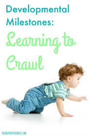 Your baby should start rocking back and forth, should. Developmental Milestones Learning To Crawl The Inspired Treehouse