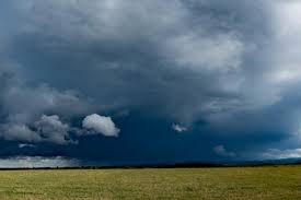 Überörtlich mehr als 140 km/h. Unwetter Aktuelle News Und Informationen Agrarheute Com