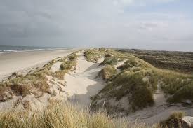 Jort kelder vroeg zichzelf dat na aankoop van een stuk grond in de terschellinger duinen af. Het Eco Duinhuis Van Jort Kelder Nieuws Terschelling Skylgenet Nl Terschelling Online