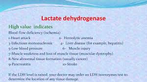 What is considered?a high alt level? Jaundice Liver Function Tests Ppt Download