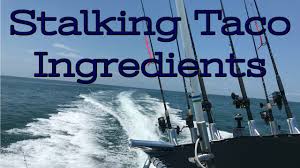 Maybe you would like to learn more about one of these? Siesta Key Fishing Charters Killer Fish Tacos Youtube