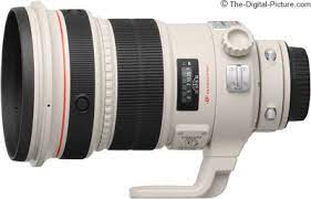 The Best Canon Indoor Sports Lens For 2021