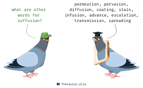More 100 Suffusion Synonyms Similar Words For Suffusion