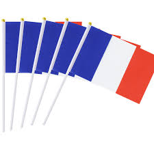 Use it in your personal projects or share it as a cool sticker on tumblr, whatsapp, facebook messenger. Kind Girl 25 Pack Hand Held Small Mini Flag France Flag French Stick Flag Round Top National Country Flags Party Decorations Supplies For Parades World Cup Festival Events International Festival Amazon Com Au Lawn Garden