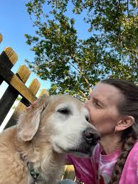 What are some experiences and advice for a Golden Retriever diagnosed with  inflammatory bowel disease?