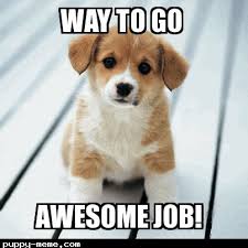 Oct 23, 2020 · catchy job postings are a great way to attract potential candidates. Awesome Job Memes