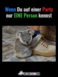 Lustige sprüche bilder kostenlos lustige videos für whatsapp whatsapp lustig bier lustig guten morgen lustig kostenlose whatsapp videos animierte emoticons sprüche. Starke Spruche Spruchbilder Die Tier Welt Com