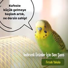 kus kafesleri 2021 kus kus kafesi papagan