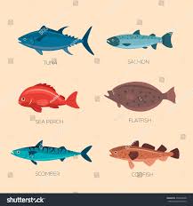 Set Of Sea Fish Scomber Codfish Flatfish Sea Perch Salmon Tuna Fish Vector Set In Flat Style Design Ocean Sea Fish In 2020 Fish Icon Fish Vector Happy Cartoon