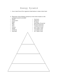 Food chain quizzes & trivia. Ecological Pyramids Worksheet Printable Worksheets And Activities For Teachers Parents Tutors And Homeschool Families