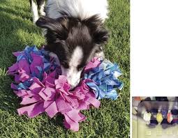 Diy Snuffle Mats For Canine Enrichment And Sniffing Canine Diy Dog Stuff Dog Enrichment