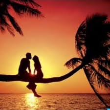 My wife and i had a fun night of swinging with our two closest friends. Miami Swings Swingers Podcast Miami Swings Listen Notes