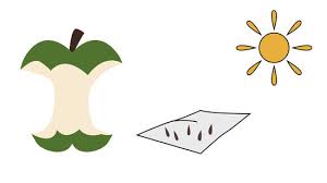 We did not find results for: How To Grow An Apple Tree From A Seed With Pictures Wikihow
