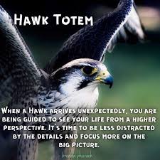 Hawk Totem By Sacredhealthjewelry Hawk Spirit Animal Spirit Animal Meaning Spiritual Animal