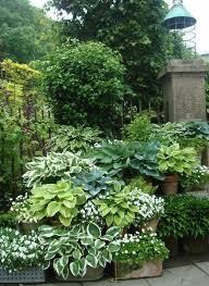 10 Best Shade Garden Ideas For The Backyard Decoratoo Shade Garden Shade Plants Backyard Landscaping