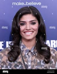 Amanda new york premiere of hi-res stock photography and images