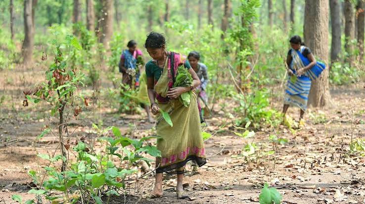 Chhattisgarh forest authorities launch large-scale community-led water conservation drive