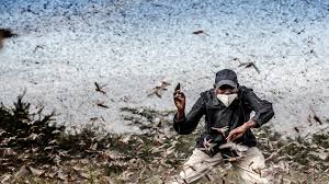 Последние твиты от world press photo (@worldpressphoto). El Fotoperiodismo Espanol Destaca En El World Press Photo 2021