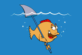 My ex got hit by a bus, and i lost my job as a bus driver. Funny Fishing Jokes To Get Your Buddies Laugh Fin