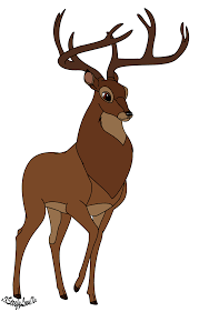 Function, proteins, disorders, pathways, orthologs, and expression. The Great Prince Bambi Ii By Xxsteefylovexx On Deviantart Bambi Disney Bambi Art Disney Drawings