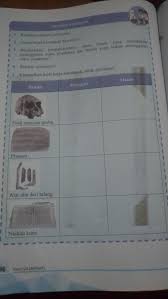 Jawaban Ips Kelas 7 Hal 196 Brainly Co Id