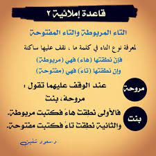 التاء المربوطة والتاء المفتوحة | Learning arabic, Arabic language, Arabic  worksheets