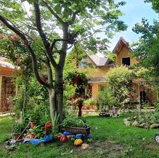 Aceasta unitate nu primeste tichete de vacanta! Cazare Eforie Sud Vile Has Home Facebook
